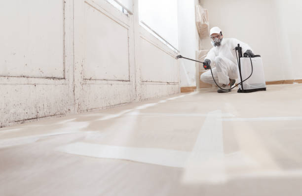 24/7 Emergency Mold Remediation experts in Reston, VA