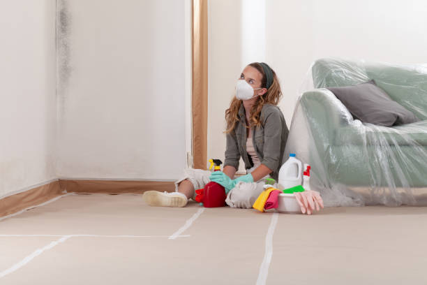 Reliable Mold Remediation contractor in Reston, VA by Mold Remediation HQ